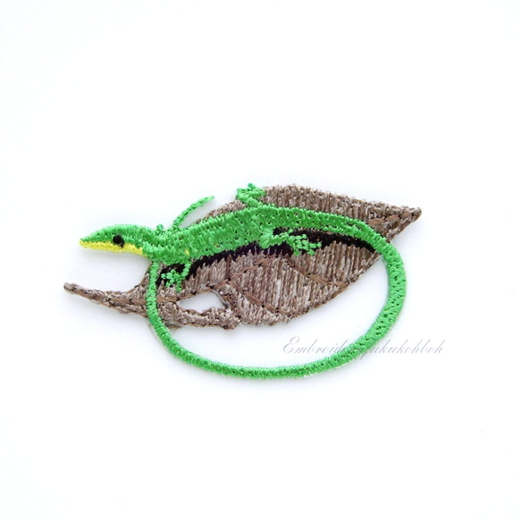 サキシマトカゲ　緑のトカゲ　蜥蜴　爬虫類　トカゲ　lizard