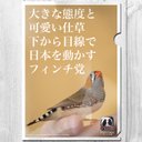 A4クリアファイル　フィンチ党  「下から目線で日本を動かすフィンチ党」