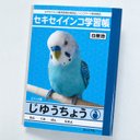 メモ帳　セキセイインコ学習帳（じゆうちょう）