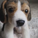 ビーグルの子犬＊＊羊毛フェルト