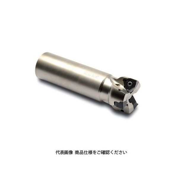 Seco Tools フライス スクエア6 R217.96-2020.3-04-3A 1個（直送品）