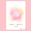 2月23日誕生花カード（花言葉つき）点描画