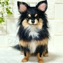 ☆羊毛フェルト☆【オーダーメイド】☆チワワ☆犬☆ぬいぐるみ☆メモリアル☆リアル☆うちの子☆ハンドメイド☆世界に１つ☆プレゼント☆記念