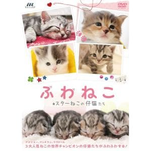 【DVD】 ふわねこ スターねこの仔猫たち