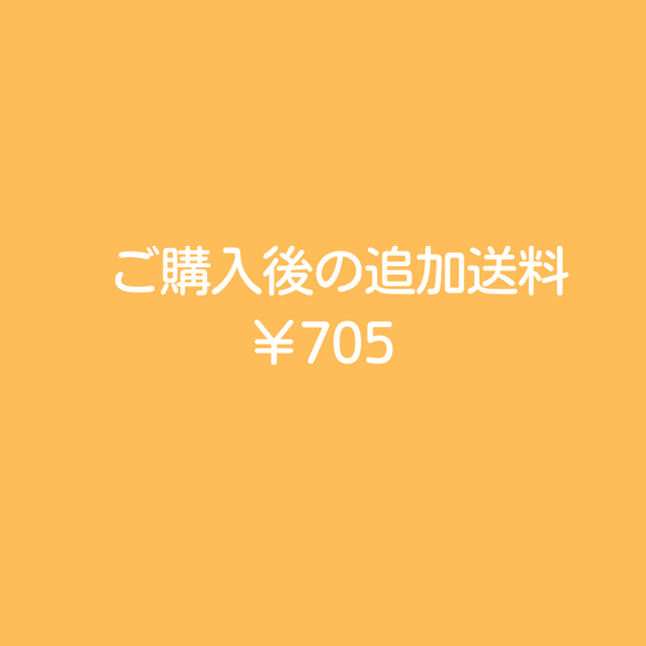 追加の送料　705