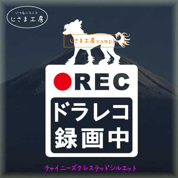 チャイニーズクレステッドドッグの白色シルエットステッカー危険運転防止!!ドライブレコーダー録画中