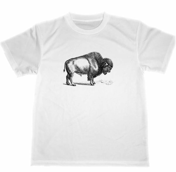 バイソン　ドライ　Tシャツ　アニマル　グッズ　動物　動物園