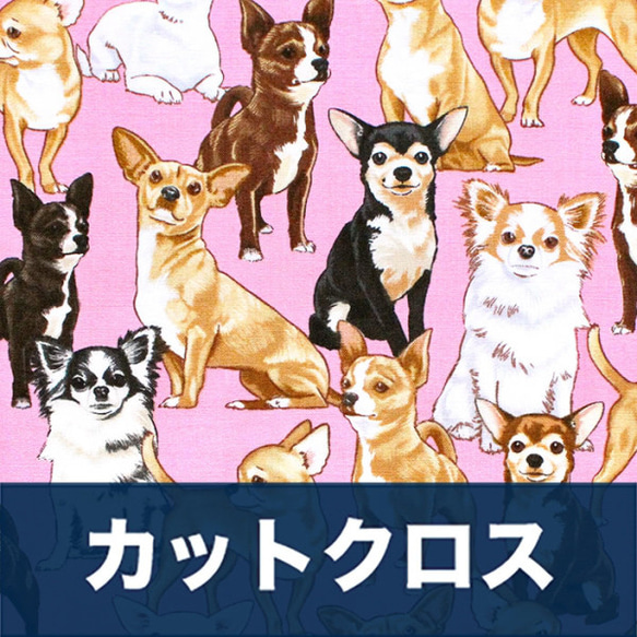 カットクロス Timeless Treasures Pure Breeds GM-C3191 Chihuahuas