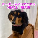 ★オーダーメイド◆羊毛フェルトで作る世界で一つだけのうちの子ぬいぐるみ(3色以上の犬猫他)