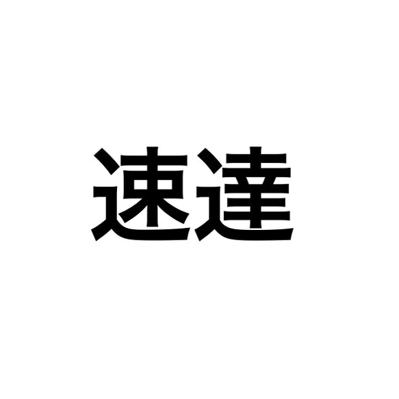 速達専用　マタニティペイントシール