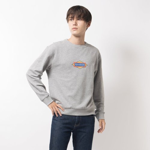 クラシック クルース ウェット / CLASSIC SG CREW SWEAT