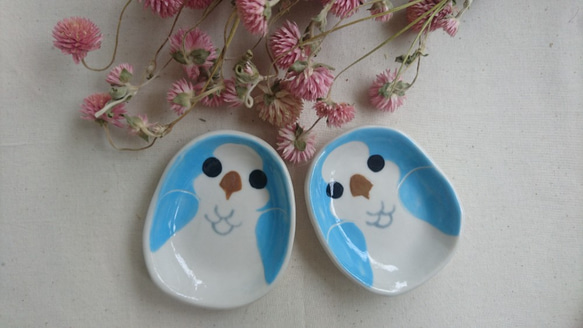 Hey！Bird Friends！Blue Monk Parrot Bird Egg Shaped Dish