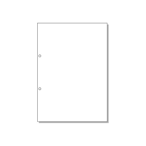 ヒサゴ マルチプリンタ帳票 A4 白紙 2穴 100枚 FC91550-BP2001