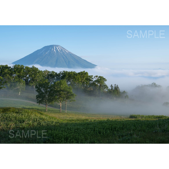 【A4可能】雲海晴れ、朝霧と羊蹄山・北海道風景写真