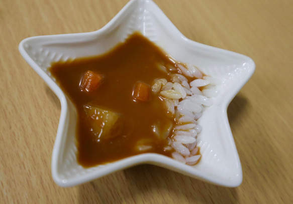 食品サンプル　星カレー（ルー多め）