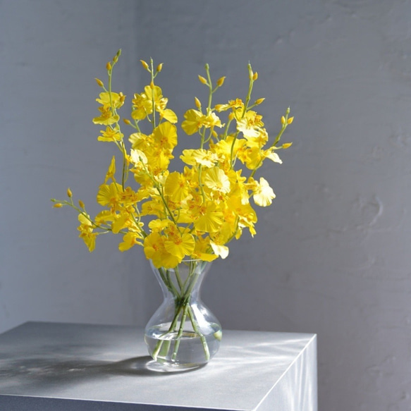 （水換え不要）オンシジュームの花瓶挿し