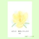 4月01日誕生花カード（花言葉つき）点描画