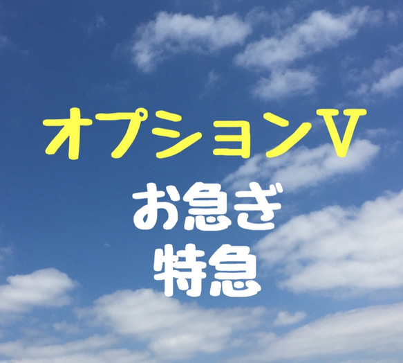 似顔絵オプションⅤ【お急ぎ特急仕上げ】