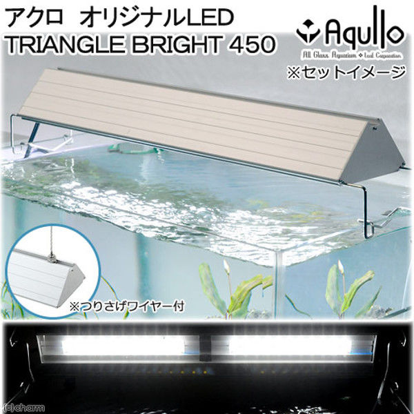 チャーム Aqullo LED BRIGHT Series