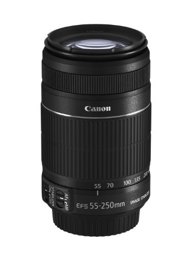 Canon 望遠ズームレンズ EF-S55-250mm F4-5.6 IS II APS-C対応【中古品】