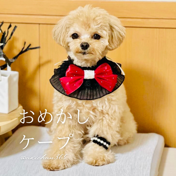 おめかしケープ（誕生日、つけ襟、スタイ、犬、猫、うさぎ、バースデー、ハロウィン、クリスマス