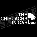 THE CHIHUACHS IN CAR パロディステッカー（チワックス）/ 5.5cm×17cm