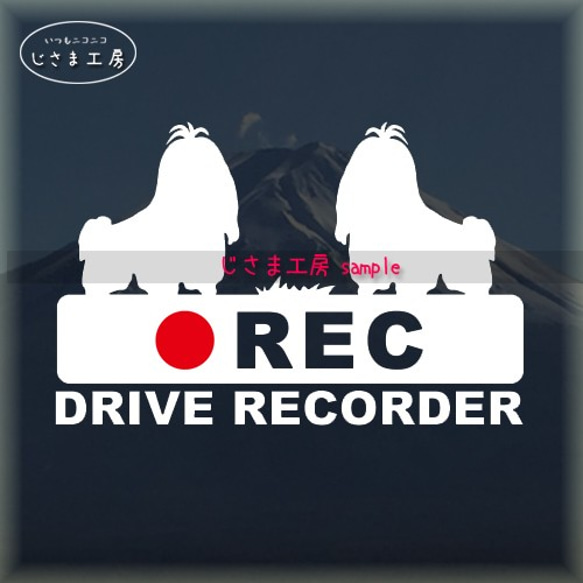 ちょんまげシーズーが2匹の白シルエットステッカー煽り運転防止!!『DRIVE　RECORDER』