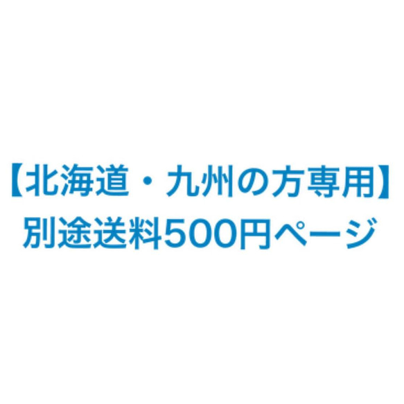 ＊北海道 九州＊送料ページ