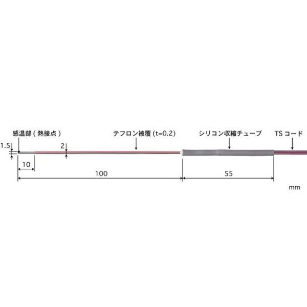 ST-41K-010-TS1-ANP（直送品）