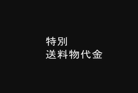 購入後専用　調整用特別料金　その都度料金変更用（今は購入しないでください）