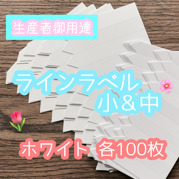 ラインラベル 小＆中 白 各100枚 園芸カラーラベル 多肉植物 エケベリア