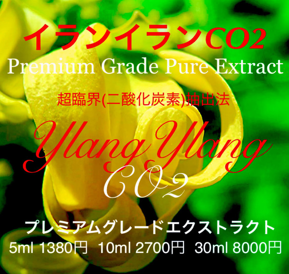 【濃厚な花の香り】イランイランCO2エクストラクト10ml（5ml販売中）