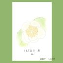 11月29日誕生花カード（花言葉つき）点描画