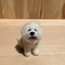 フェルト犬　ビションフリーゼ　スマイルさん