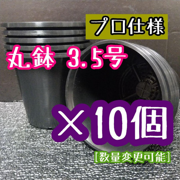 ◎10個◎ 丸鉢 3.5号 / 3.5寸 / 10.5cm プラ鉢 黒 ブラック