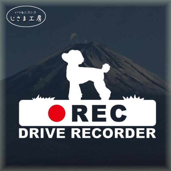 トイプードルの白シルエットステッカー後方注意!!『DRIVE　RECORDER』