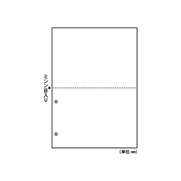ヒサゴ マルチプリンタ帳票 A4 白紙 2面 2穴 100枚 FC91547-FSC2084
