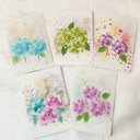 紫陽花　5枚セット　ポストカード　絵葉書　イラスト　デザイン　かわいい　お花　インテリア