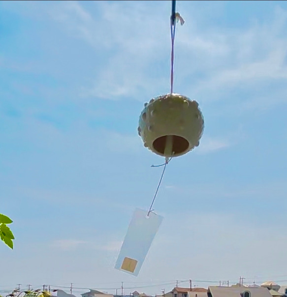 磁器の風鈴　雲丹　涼しさをお届けします！　雲丹A 　wind chime　ウインドチャイム