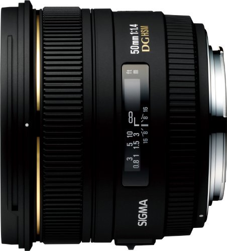 SIGMA 単焦点標準レンズ 50mm F1.4 EX DG HSM キヤノン用 フルサイズ対応【中古品】