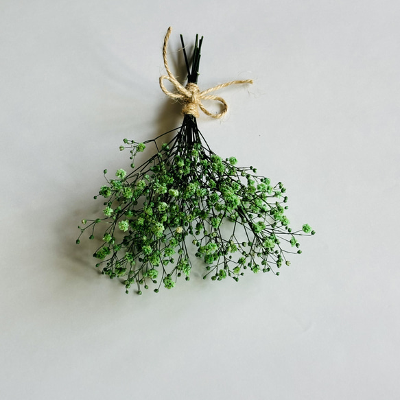 Green Baby’s breath bouquet プリザーブドフラワー　かすみ草　ブーケ