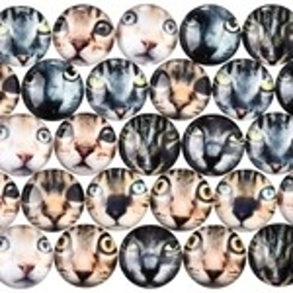 猫のカボション*直輸入*約12mm*10個セット