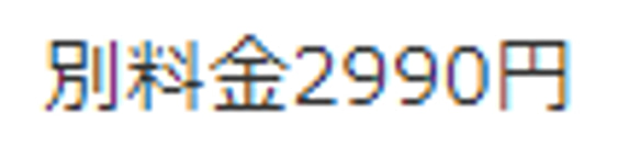 別料金2990円