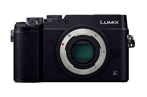 Panasonic ミラーレス一眼カメラ ルミックス GX8 ボディ 2030万画素 ブラック DMC-GX8-K【中古品】