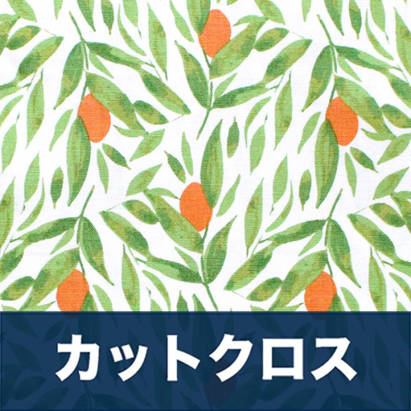 カットクロス Windham Fabrics Cora 52362-1 Kumquats White