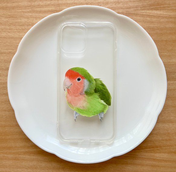 p-jet　コザクラインコ　ノーマル　（ TPUソフト　クリア　スマホケース  iPhone 15 ） / 鳥 インコ