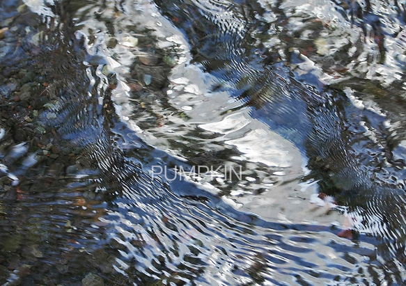 流れ-7　PH-A4-0125　　写真　水　清流　流れ　富士山　渓流   伏流水