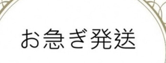 【お急ぎ便】営業日5日以内発送オプション（必ず商品と一緒に購入してください）