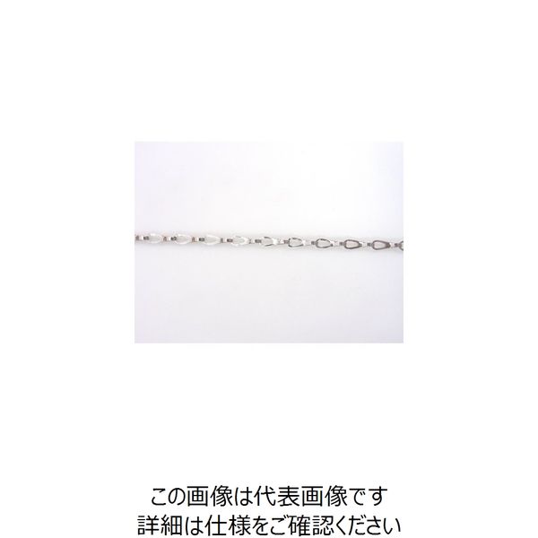 ニッサチェイン（NISSA CHAIN） ニッサチェイン ニッケルサッシュチェン 30m BP