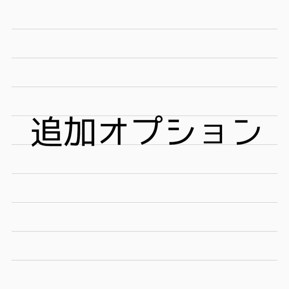 追加オプション